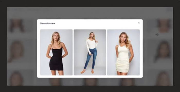 Botika: Exploring the Use of AI Models in Fashion Without the Photoshoot