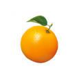 Orange Manager