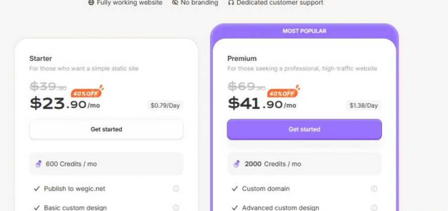Wegic AI Pricing Screenshot
